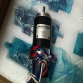 AMETEK PITTMAN 2131-MT5313_调整大小